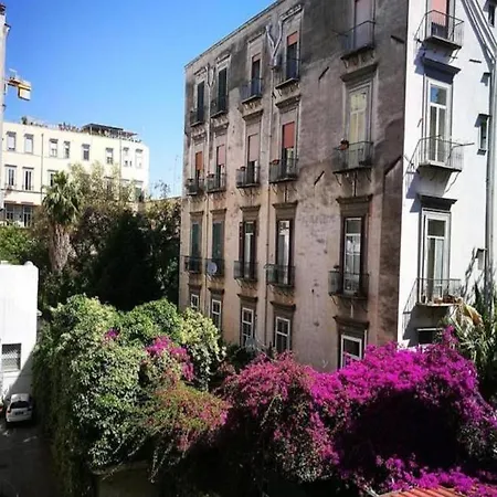 Domus Luigi Leone Ii Bed & Breakfast
